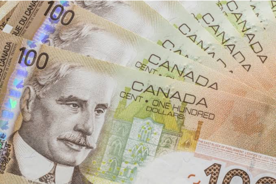 $2460 Additional Pension Canada 2024