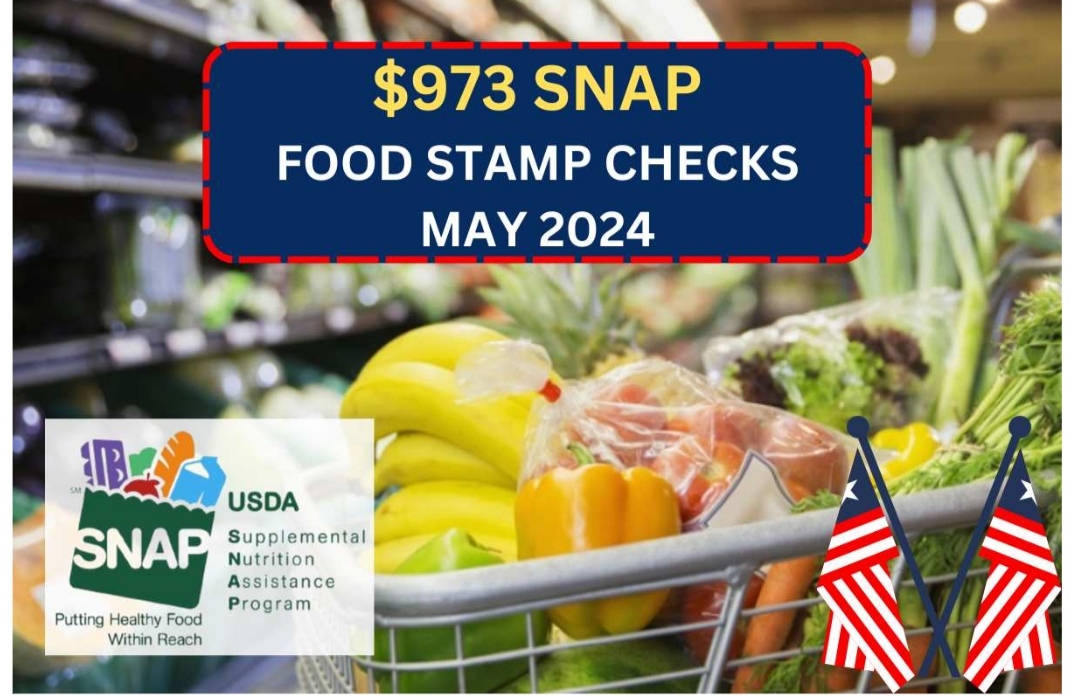 $973 SNAP (Food Stamp) Checks