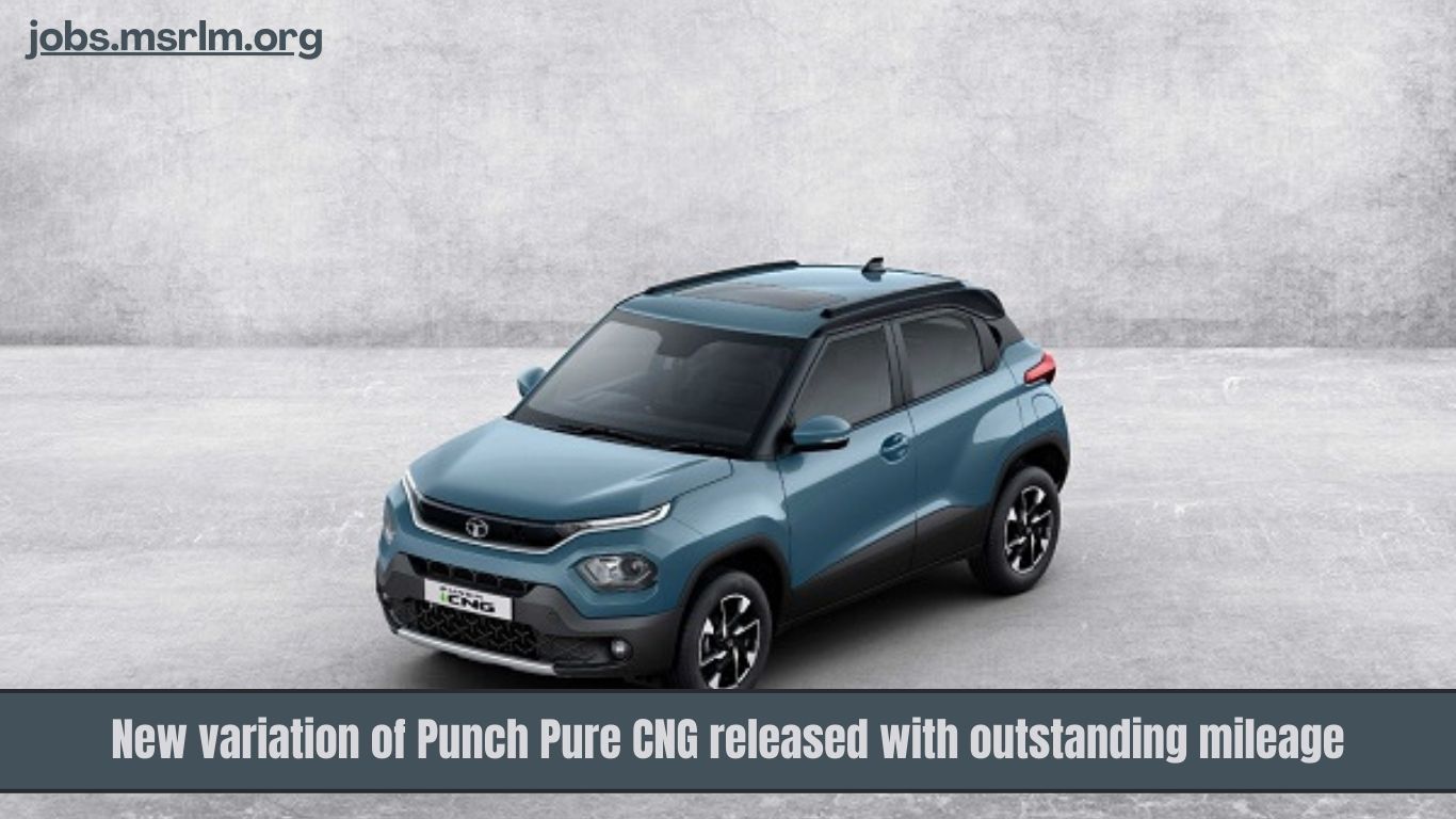 New variation of Punch Pure CNG released with outstanding mileage