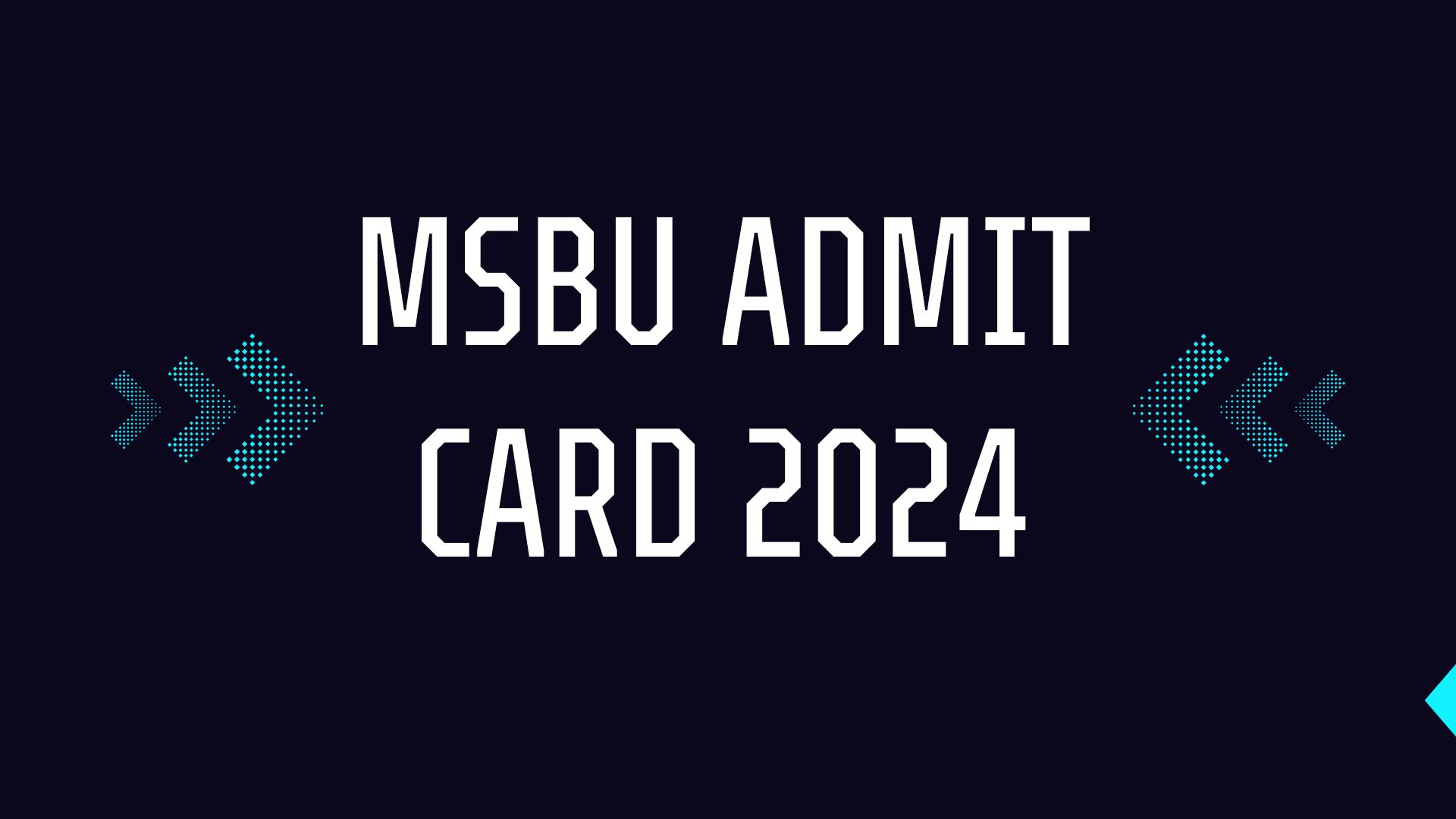 MSBU Admit Card 2024